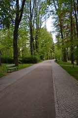 Fototapeta na wymiar Cieplice Zdrój, główna promenada przez Park Zdrojowy, wiosna, polska