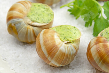 escargots frais au four avec du persil et du beurre à l'ail sur une assiette