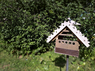 A Pigeon Above A Nest In A Park At Daytime. Dove Outside Its Nest Box