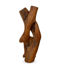 Piece of wooden root, white background