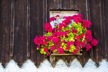 old wooden window at a facade