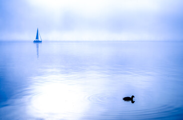 Sailboat at the Starnberger See lake - Tutzing