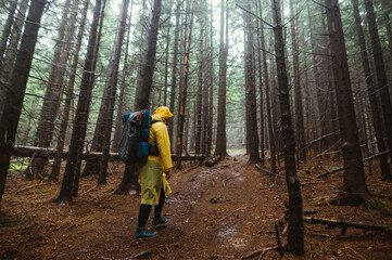 Tourist with a backpack and a raincoat climbs the mountains, walks through the woods in rainy weather.