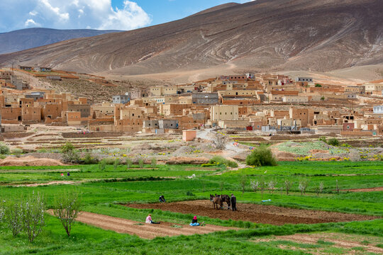Images of Morocco. Berber peasants work in the fields in front of a village in the upper Dades Valley in the Atlas Mountains