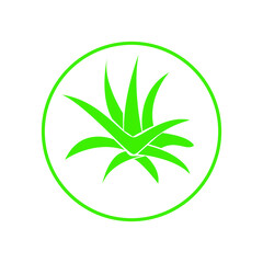 Aloe vera logo isolated on a white background
