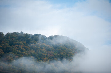 Fototapeta na wymiar Misty coniferous forest in the mountains