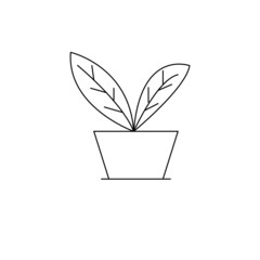 flower and pot vector