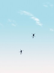 Naklejka na ściany i meble Two helicopters in the blue sky