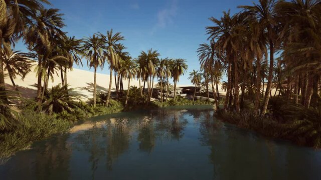 Idyllic oasis in the Sahara Desert