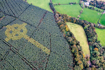 Aerial view of celtic cross growing in a forest in County Donegal - Ireland