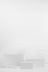 White abstract scene with three rectangle podiums mockup for showing and presentation product or goods with circle paper carved white fans on table in minimal simple style, vertical, copy space.