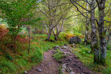 Hiking Through the Nevis Gorge in the Scottish Highlands, UK.