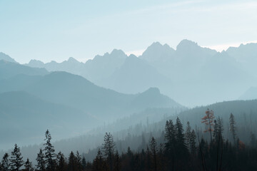 Silhouette of the tatra mountains national park in poland and slovakia .Layers of mountains and pine forest with fog and sun, pastel tones.