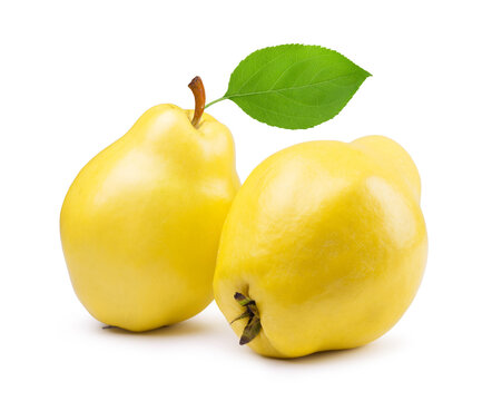 Ripe quince fruit isolated on a white background. Fresh fruits.