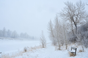 Snow covered bench among the cold winter landscape with trees