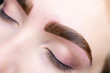 close-up of combed eyebrows with eyebrow paint applied to them