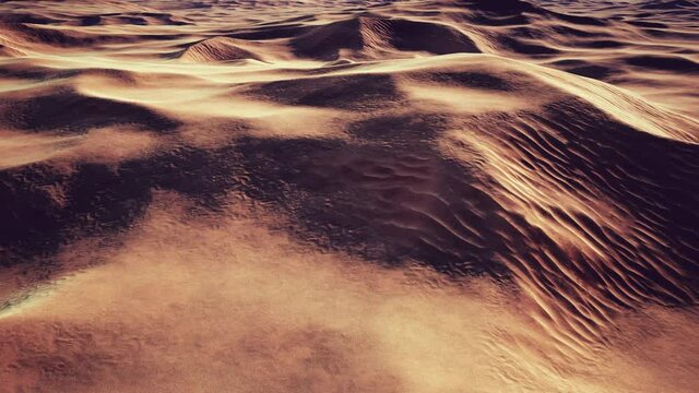 wide and wild landscape of the Arabic sand desert