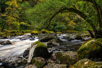 River Braan at the Hermitage in Scotland, UK