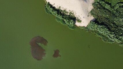 Top view of an abandoned sandy beach with vegetation around and a green lake and a dark spot of algae