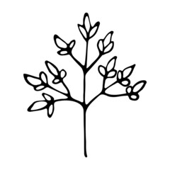 Naklejka premium Hand drawn floral element for greeting cards, wedding invitations, poster design etc. Vector illustration on isolated background.