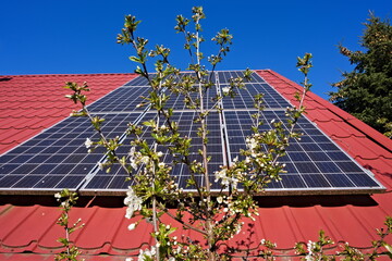 Photovoltaic panels on the roof of a rural house with trees - 470933102