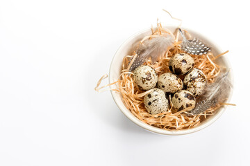 Rustic quail eggs and bird feathers in cup isolated on white. Copy space. Place for text