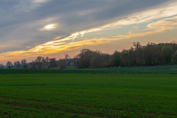 sunrise over the field