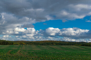 field and blue sky