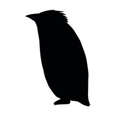Vector hand drawn penguin silhouette isolated on white background