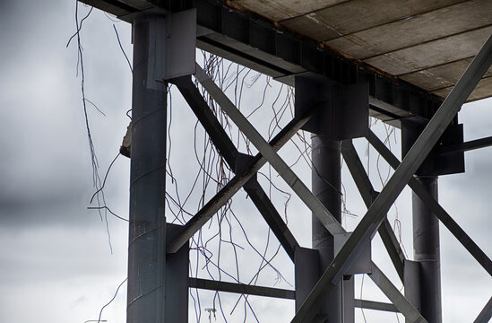 Fragment Of The Alaskan Way Viaduct