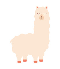 animal alpaca design