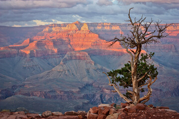 Sunrise from viewpoint of South Rim of Grand Canyon, Arizona, US