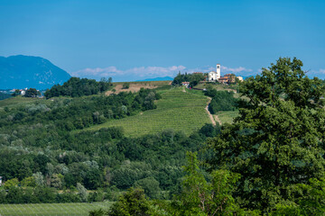Fototapeta na wymiar The Collio Friulano. Hills of farmhouses and vineyards
