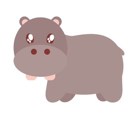 great baby hippopotamus