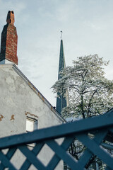 Looking over the fence