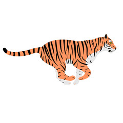 Vector flat hand drawn tiger isolated on white background