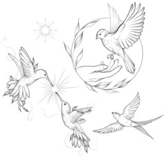 Set of of birds and flowers, line drawings, ink drawing, hand drawn illustration,