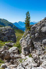 Dream Dolomites. Nuvolau, Arvelau and five towers.