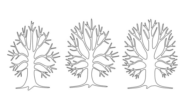 Set of 3 trees with branches without leaves and roots. Winter pattern. Linear drawing. Vector illustration.