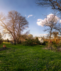 landscape with trees