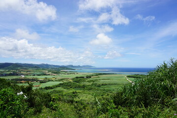 Fototapeta na wymiar 緑のパワー、グリーンエネルギー。沖縄風景、山頂からの景色