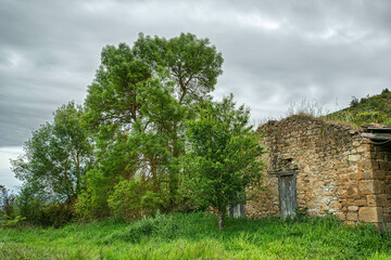 Obraz premium Growing and dwindling