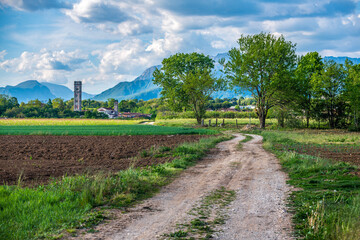 Obraz premium Hills and fields of Friuli in Spring. Cassacco