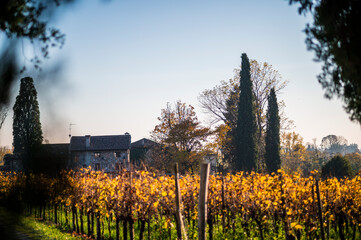 Autumn among the vineyards and the ancient village of Villafredda. Friuli.
