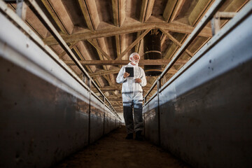 Senior veterinarian in sterile uniform holding tablet and walking around the barn. The veterinarian is checking on animals. A veterinarian using technologies at the farm.