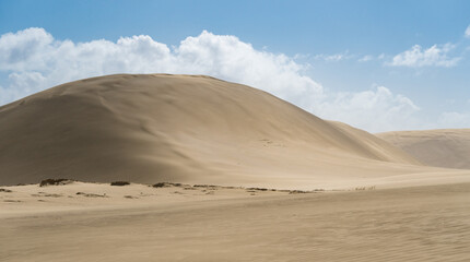 Te Paki Dunes in the north of New Zealand.
