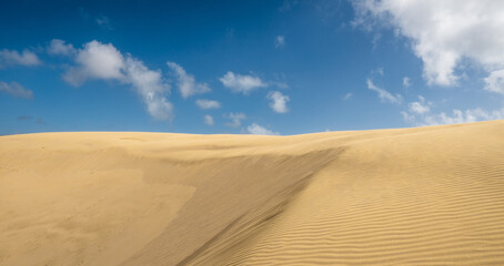 Fototapeta na wymiar Te Paki Dunes in the north of New Zealand.