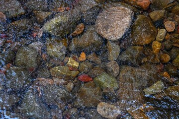 water of autumn leafy forest stream 