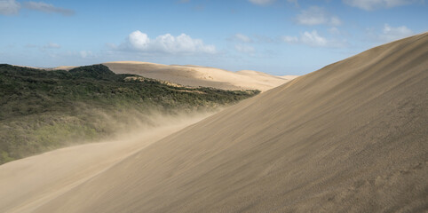 Fototapeta na wymiar Te Paki Dunes in the north of New Zealand.