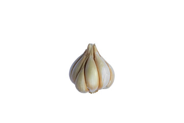 Organic garlic. Fresh garlic bulb isolated on white background, healthy eating, copy space, horizontal